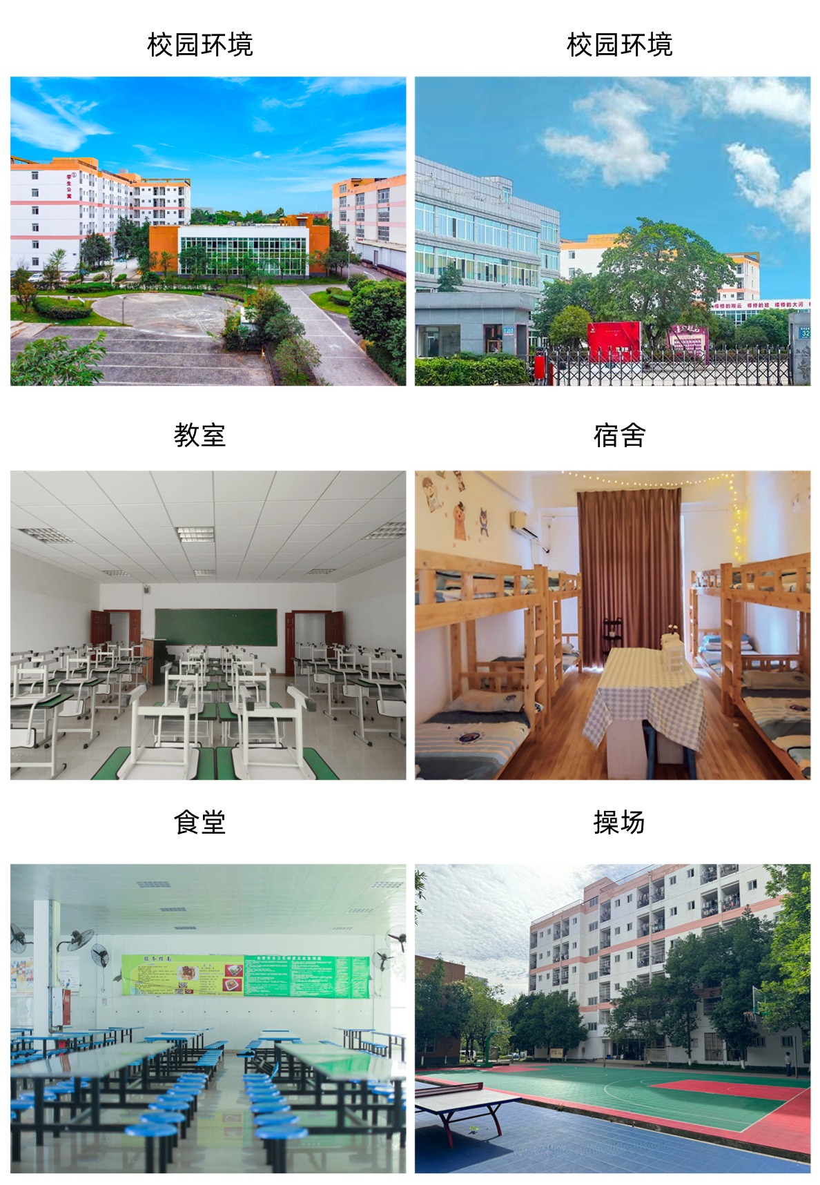 关于2025年单招集训校区地址变更的公告